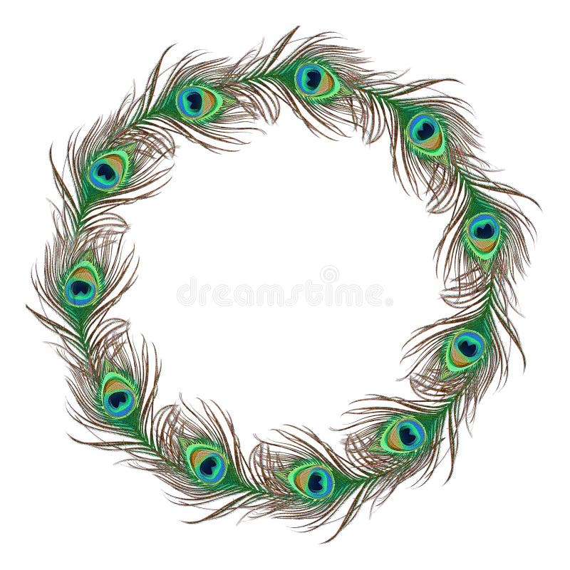 Elegant peacock feather design circle. Elegant peacock feather design circle