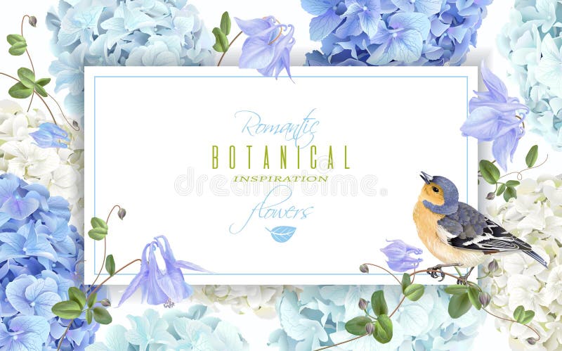 De bannerblauw van de hydrangea hortensiavogel vector illustratie De bannerblauw van de hydrangea hortensiavogel vector illustratie