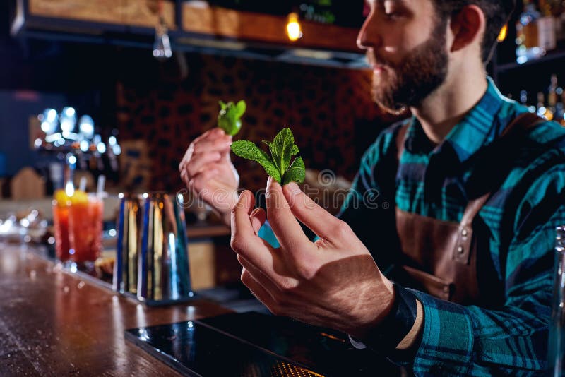 De barman die bij bar dichte omhooggaand van twijg van munt houden royalty-vrije stock afbeeldingen De barman die bij bar dichte omhooggaand van twijg van munt houden royalty-vrije stock afbeeldingen
