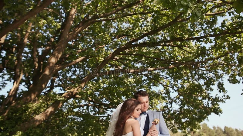 De beaux et heureux jeunes mariés sous les branches d'un arbre ensemble Adoucissez le contact des mains baiser J'aime