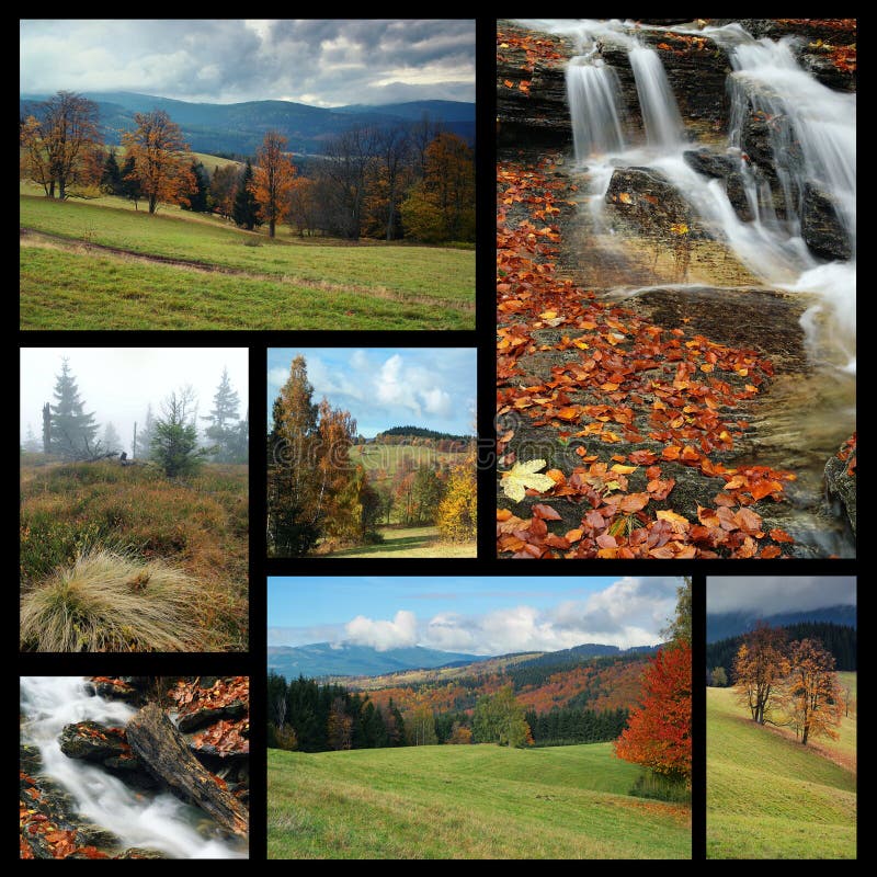 De beelden van de collage van herfstthema