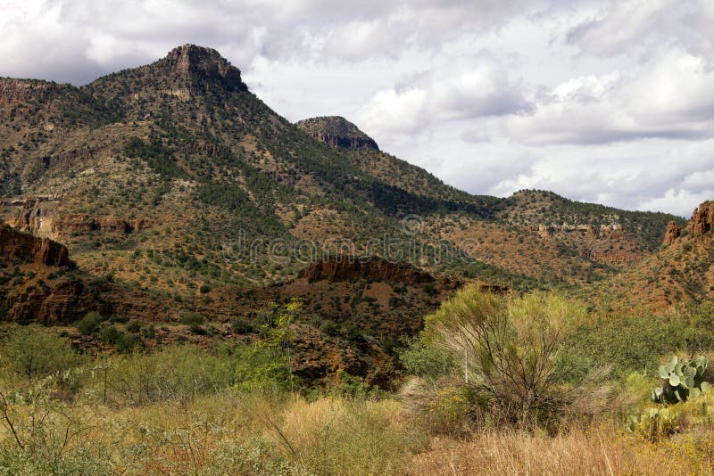 De Bergen van de Woestijn van Arizona in Nationaal Bos Tonto stock foto's De Bergen van de Woestijn van Arizona in Nationaal Bos Tonto stock foto's