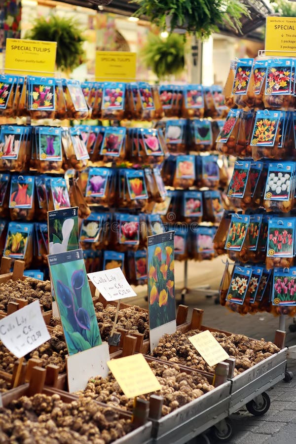 De beroemde de bloemmarkt Bloemenmarkt van Amsterdam Tulip Bulbs Calla lelieswortels royalty-vrije stock afbeeldingen De beroemde de bloemmarkt Bloemenmarkt van Amsterdam Tulip Bulbs Calla lelieswortels royalty-vrije stock afbeeldingen