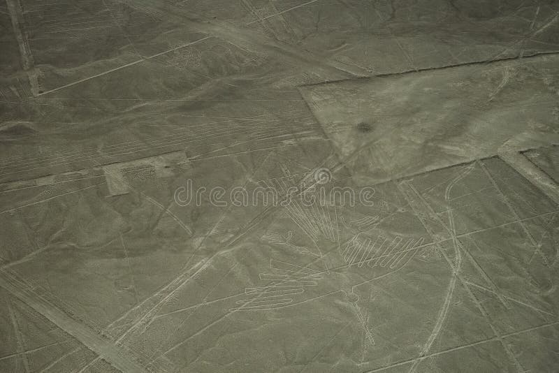 De beroemde Nazca-Lijnen in Peru, hier u kunnen het cijfer van een condor zien stock afbeelding De beroemde Nazca-Lijnen in Peru, hier u kunnen het cijfer van een condor zien stock afbeelding