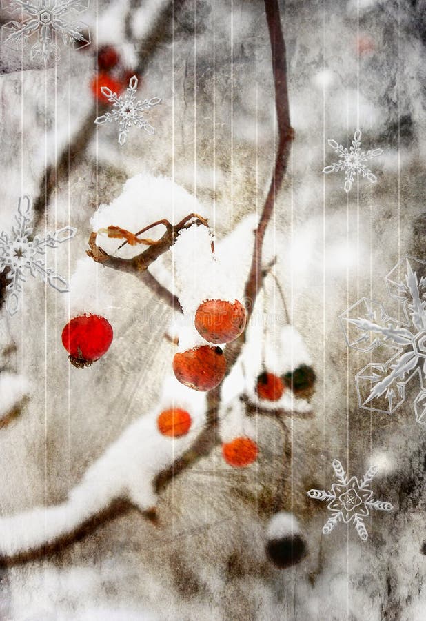 De bes van de winter stock illustratie De bes van de winter stock illustratie