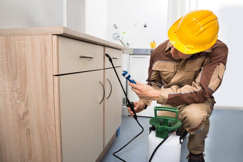 De bespuitende pesticiden van de ongediertebestrijdingsarbeider stock fotografie De bespuitende pesticiden van de ongediertebestrijdingsarbeider stock fotografie