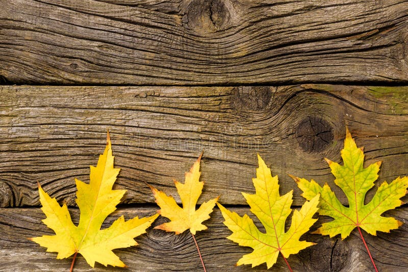 De Bladeren van de herfst over houten achtergrond Daling Hout met exemplaarruimte royalty-vrije stock afbeeldingen De Bladeren van de herfst over houten achtergrond Daling Hout met exemplaarruimte royalty-vrije stock afbeeldingen