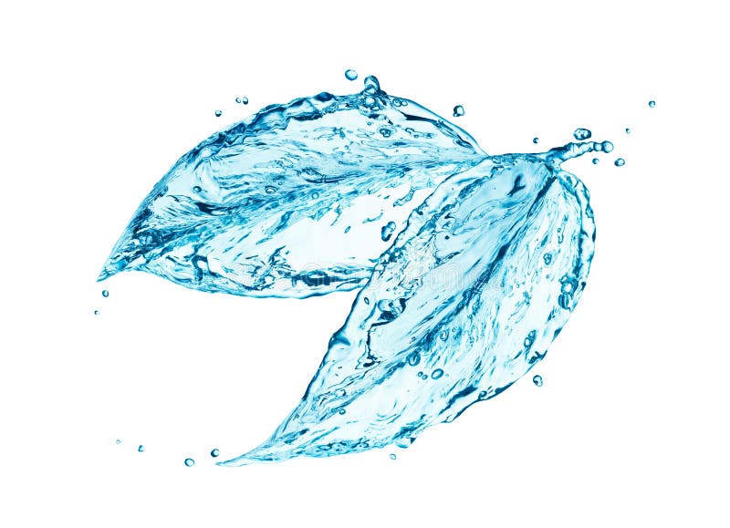 Waterbladeren royalty-vrije stock foto's