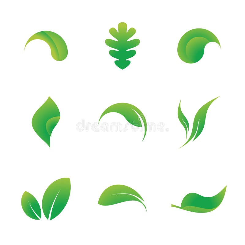 Download De Bladpictogrammen Solated Op Een Witte Achtergrond Vector Illustratie - Illustratie bestaande uit decoratief, geïsoleerd: 107707755