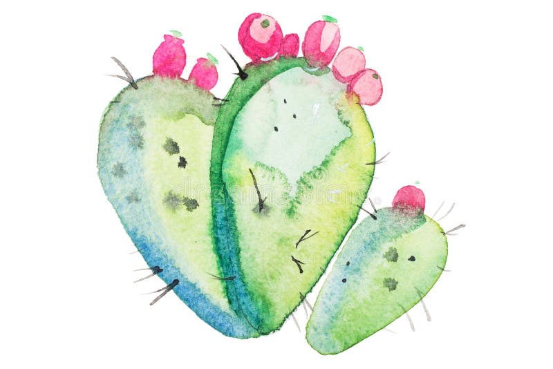 De bloeibloem van de waterverfhand getrokken stekelige cactus