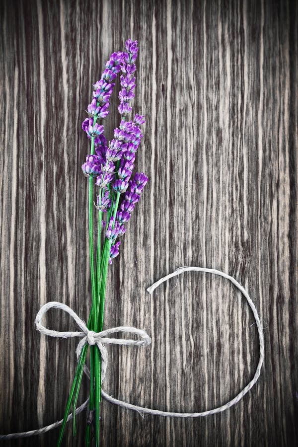 De bloem van de lavendel op houten achtergrond stock afbeeldingen De bloem van de lavendel op houten achtergrond stock afbeeldingen