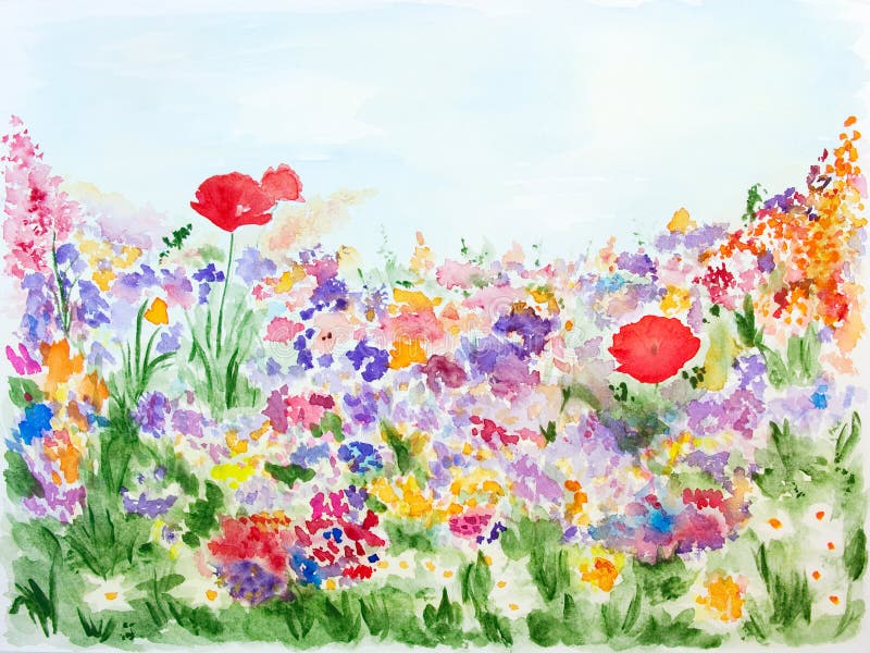 De bloemen van de zomer in geschilderde de hand van de tuinwaterverf vector illustratie De bloemen van de zomer in geschilderde de hand van de tuinwaterverf vector illustratie
