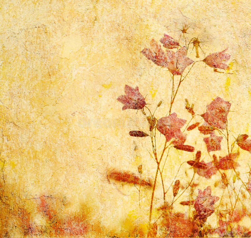 De bloemenachtergrond van Grunge vector illustratie De bloemenachtergrond van Grunge vector illustratie