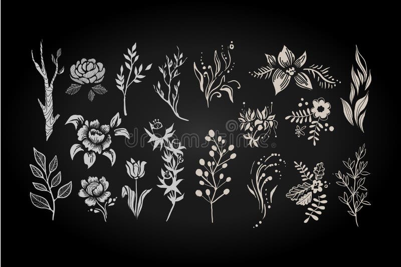 De bloemenreeks, grafische inzameling met wit verlaat en bloeit elementen vectorillustratie stock illustratie De bloemenreeks, grafische inzameling met wit verlaat en bloeit elementen vectorillustratie stock illustratie