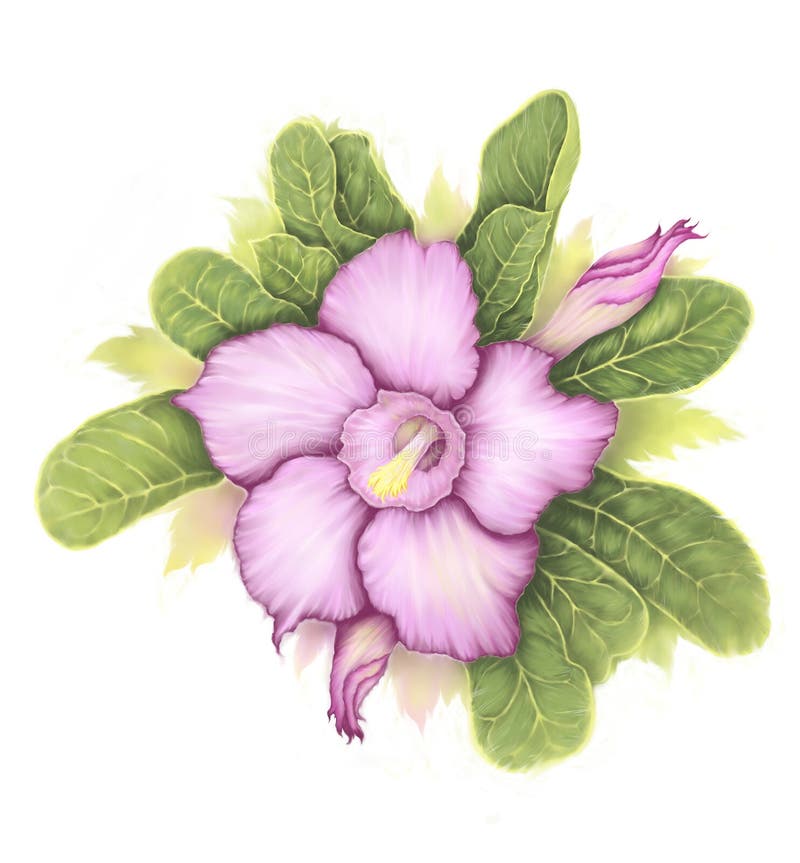 De bloemenwoestijn nam toe stock illustratie De bloemenwoestijn nam toe stock illustratie