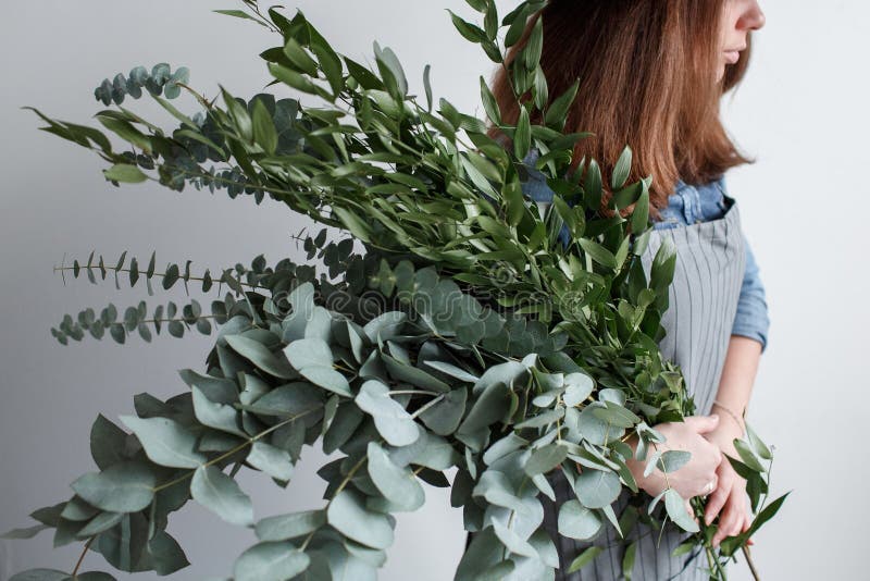 De bloemist maakt een boeket Proces van het werk vrouw die een boeket van eucalyptus in handen houden royalty-vrije stock afbeelding De bloemist maakt een boeket Proces van het werk vrouw die een boeket van eucalyptus in handen houden royalty-vrije stock afbeelding