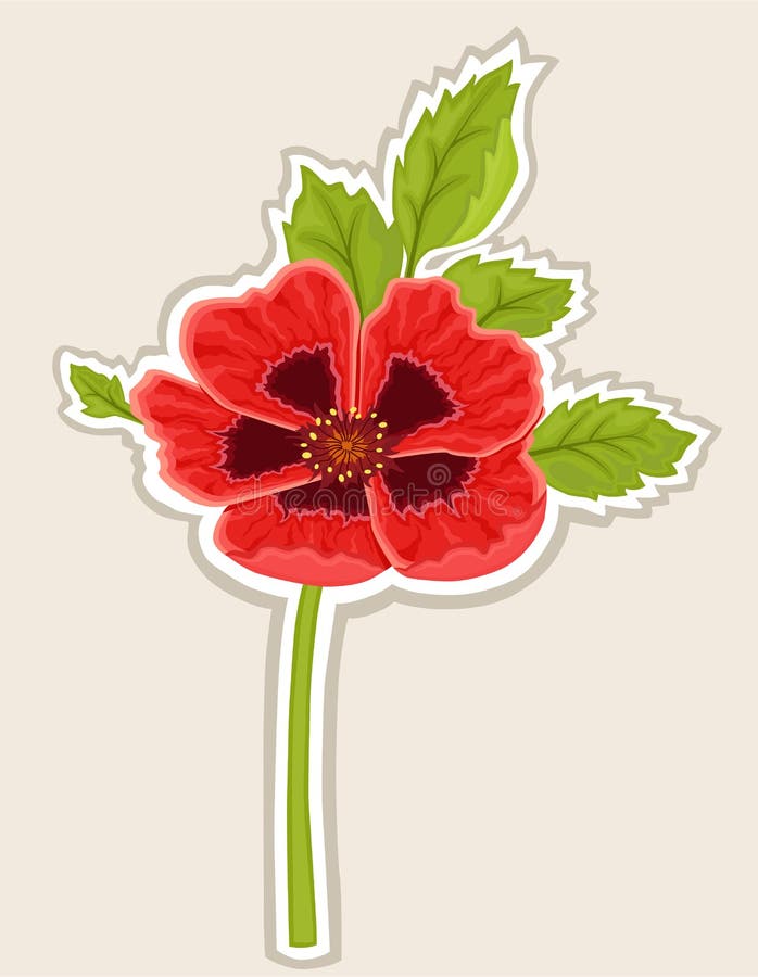 Red poppy flower sticky label. Vector file saved as EPS 8, all elements layered, grouped, no gradients, no effects, easy print - now waiting for Dreamstime inspection. Red poppy flower sticky label. Vector file saved as EPS 8, all elements layered, grouped, no gradients, no effects, easy print - now waiting for Dreamstime inspection.