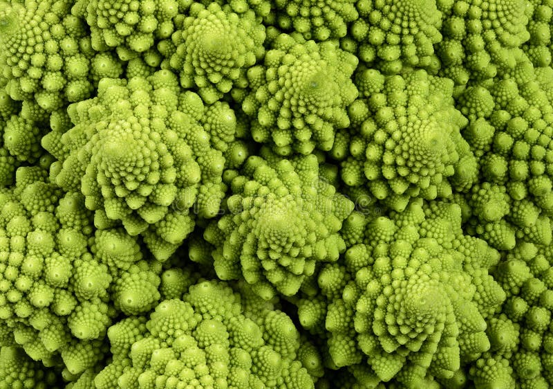De bloemkool macroachtergrond van Romanescobroccoli