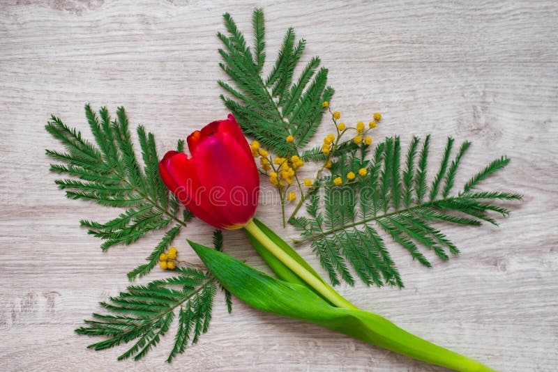 De bloemsamenstelling van het stilleven maakte de bloemen decoratieve ontwerp van mimosa's op een houten achtergrond stock foto De bloemsamenstelling van het stilleven maakte de bloemen decoratieve ontwerp van mimosa's op een houten achtergrond stock foto