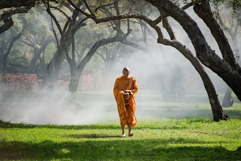De boeddhistische monniksgang ontvangt voedsel in de ochtend
