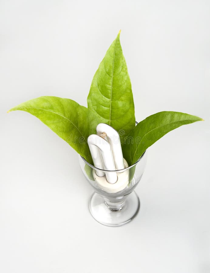 De bol Groene Energie van de Besparing van de macht CFL stock fotografie De bol Groene Energie van de Besparing van de macht CFL stock fotografie