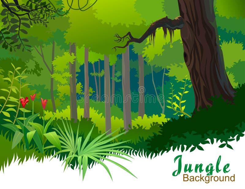 De Bomen en de Wildernis van de Wildernis van Amazonië stock illustratie De Bomen en de Wildernis van de Wildernis van Amazonië stock illustratie