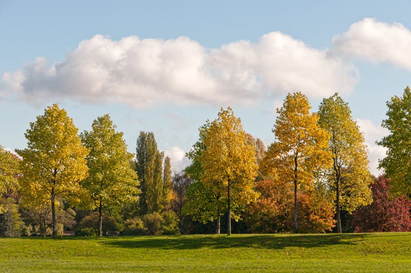 De Bomen van de herfst royalty-vrije stock afbeelding De Bomen van de herfst royalty-vrije stock afbeelding