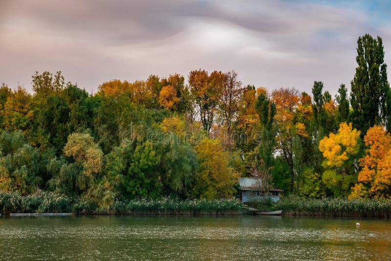 De bomen van het de herfstlandschap met gele bladeren langs de rivier en bezinningen in het water stock foto's De bomen van het de herfstlandschap met gele bladeren langs de rivier en bezinningen in het water stock foto's