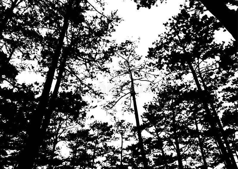 De bomen vectorillustratie van de silhouetpijnboom, bosbehangrug royalty-vrije illustratie