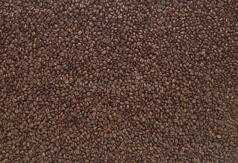 Koffiebonen stock foto