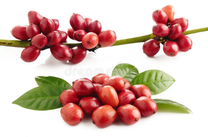 De bonen van de koffie royalty-vrije stock afbeelding De bonen van de koffie royalty-vrije stock afbeelding