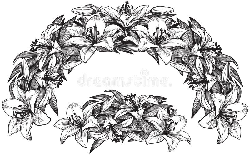 Graphical lily flower arc composition and vignette, black and white. Graphical lily flower arc composition and vignette, black and white.