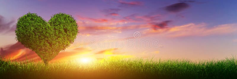 De boom van de hartvorm op gras bij zonsondergang Liefde, panorama