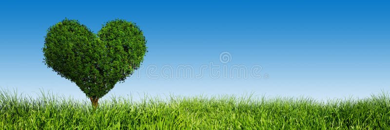 De boom van de hartvorm op groen gras Liefde, panorama