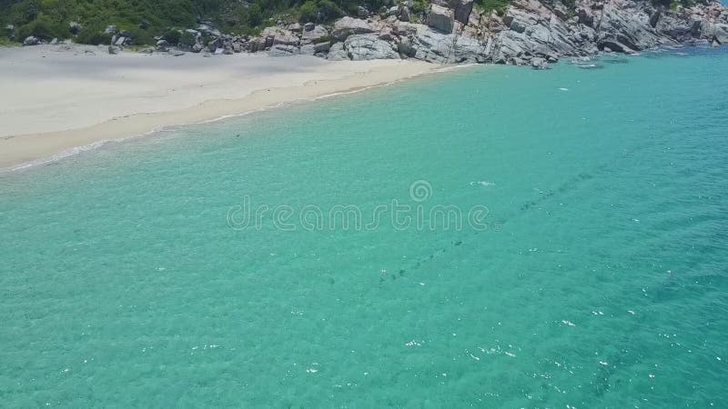 De boot die van Flycambenaderingen op azuurblauwe oceaan door zandstrand varen