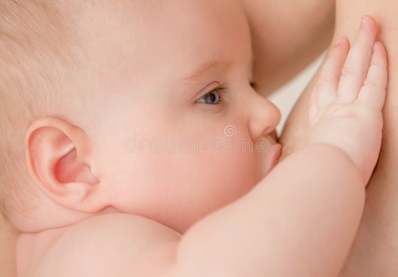 Borst die van de baby - de voeden royalty-vrije stock fotografie Borst die van de baby - de voeden royalty-vrije stock fotografie