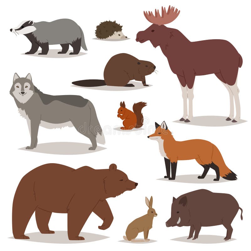 De bos animalistische karakters van het dieren vectorbeeldverhaal dragen vos en wilde wolf of beer in bosillustratiereeks elanden stock illustratie De bos animalistische karakters van het dieren vectorbeeldverhaal dragen vos en wilde wolf of beer in bosillustratiereeks elanden stock illustratie