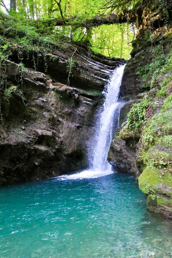 De bosdalingen van de de waterval witte stroom van de bergcascade in royalty-vrije stock afbeeldingen De bosdalingen van de de waterval witte stroom van de bergcascade in royalty-vrije stock afbeeldingen