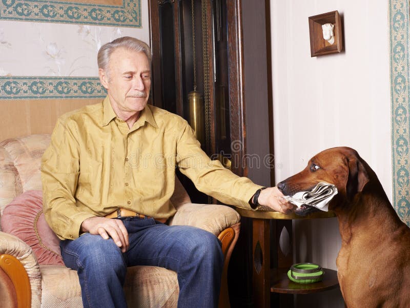 De brengende krant van de hond De brengende krant van de hond