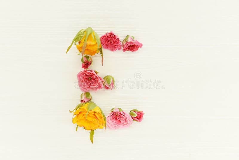 De brief ‚E ‚van de knoppen van multi-colored rozen op een lichte houten achtergrond vector illustratie De brief ‚E ‚van de knoppen van multi-colored rozen op een lichte houten achtergrond vector illustratie