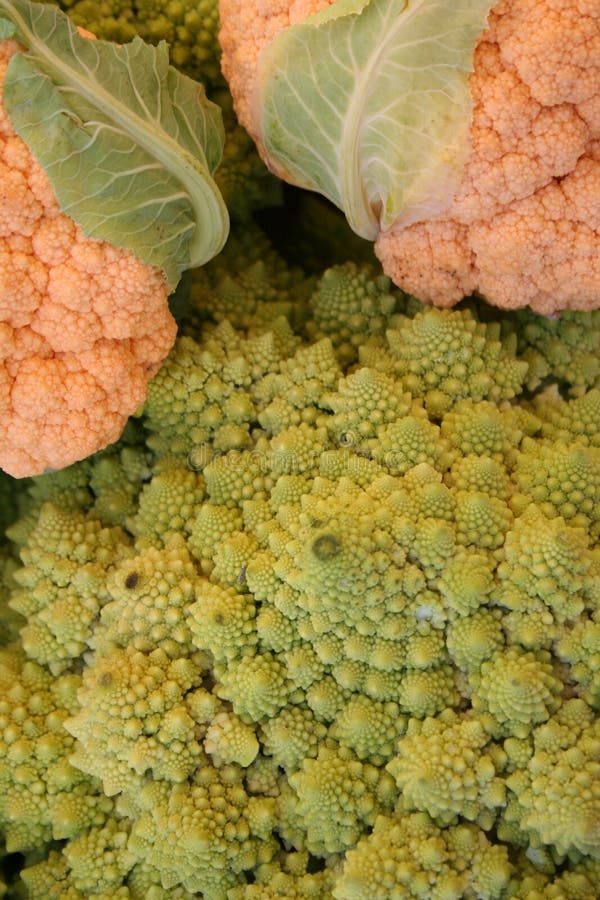 De broccoli van Romanesco stock fotografie De broccoli van Romanesco stock fotografie