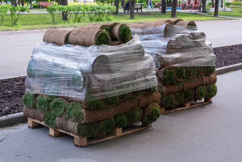 De broodjes van een natuurlijk gazon met de aarde stapelen op pallets in een stapel en zijn behandeld met een film op de straat royalty-vrije stock afbeeldingen De broodjes van een natuurlijk gazon met de aarde stapelen op pallets in een stapel en zijn behandeld met een film op de straat royalty-vrije stock afbeeldingen