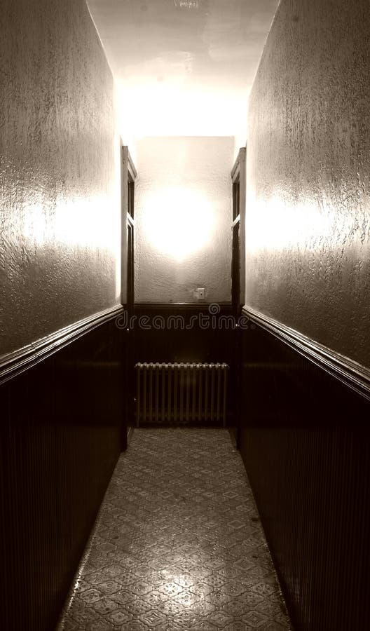 Portrait of a hallway leading to two apartments. Portrait of a hallway leading to two apartments