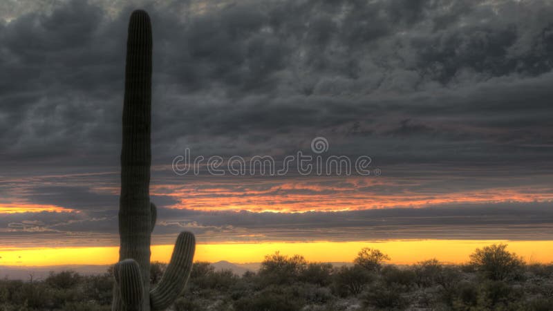 De Cactus van de Zonsondergangarizona van HDR Timelapse