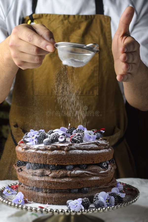 De cake van de bessenchocolade stock afbeeldingen De cake van de bessenchocolade stock afbeeldingen