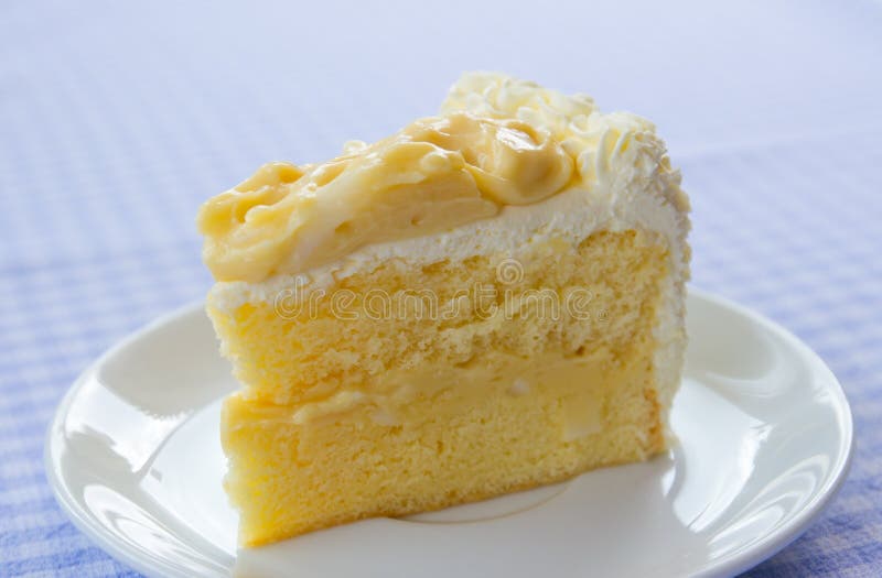 De cake van de kokosnoot stock afbeelding De cake van de kokosnoot stock afbeelding