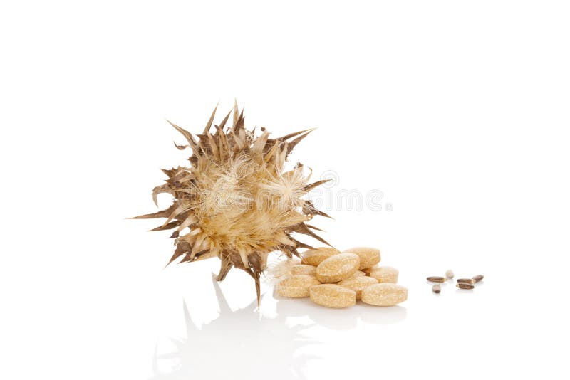 De capsules van Silybummarianum stock foto De capsules van Silybummarianum stock foto