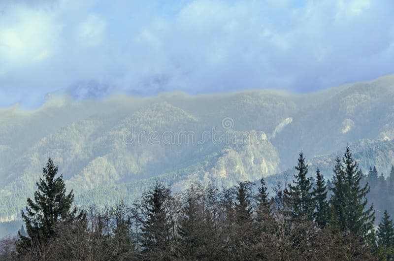 De Carpathian bergen med sörjer skogen, kulöra träd, molnig vibrerande himmel, höst-vinter tid Predeal Rumänien arkivbilder De Carpathian bergen med sörjer skogen, kulöra träd, molnig vibrerande himmel, höst-vinter tid Predeal Rumänien arkivbilder