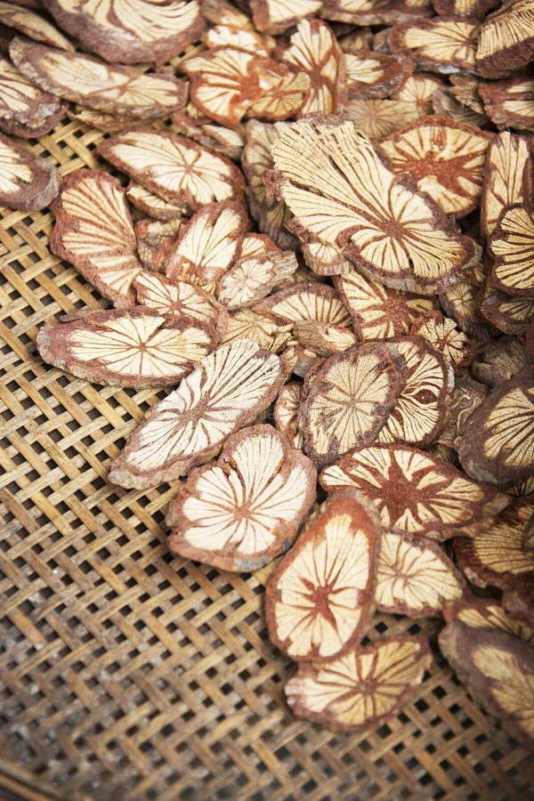 De Chinese Traditionele Schorsen van de Boom van de Geneeskunde stock afbeeldingen De Chinese Traditionele Schorsen van de Boom van de Geneeskunde stock afbeeldingen