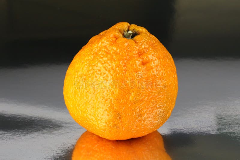 De citrusvruchtenreticulata van het Sumomandarijntje stock afbeeldingen De citrusvruchtenreticulata van het Sumomandarijntje stock afbeeldingen